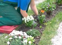 a Covington sprinkler repair tech is adding flowers to the landscape